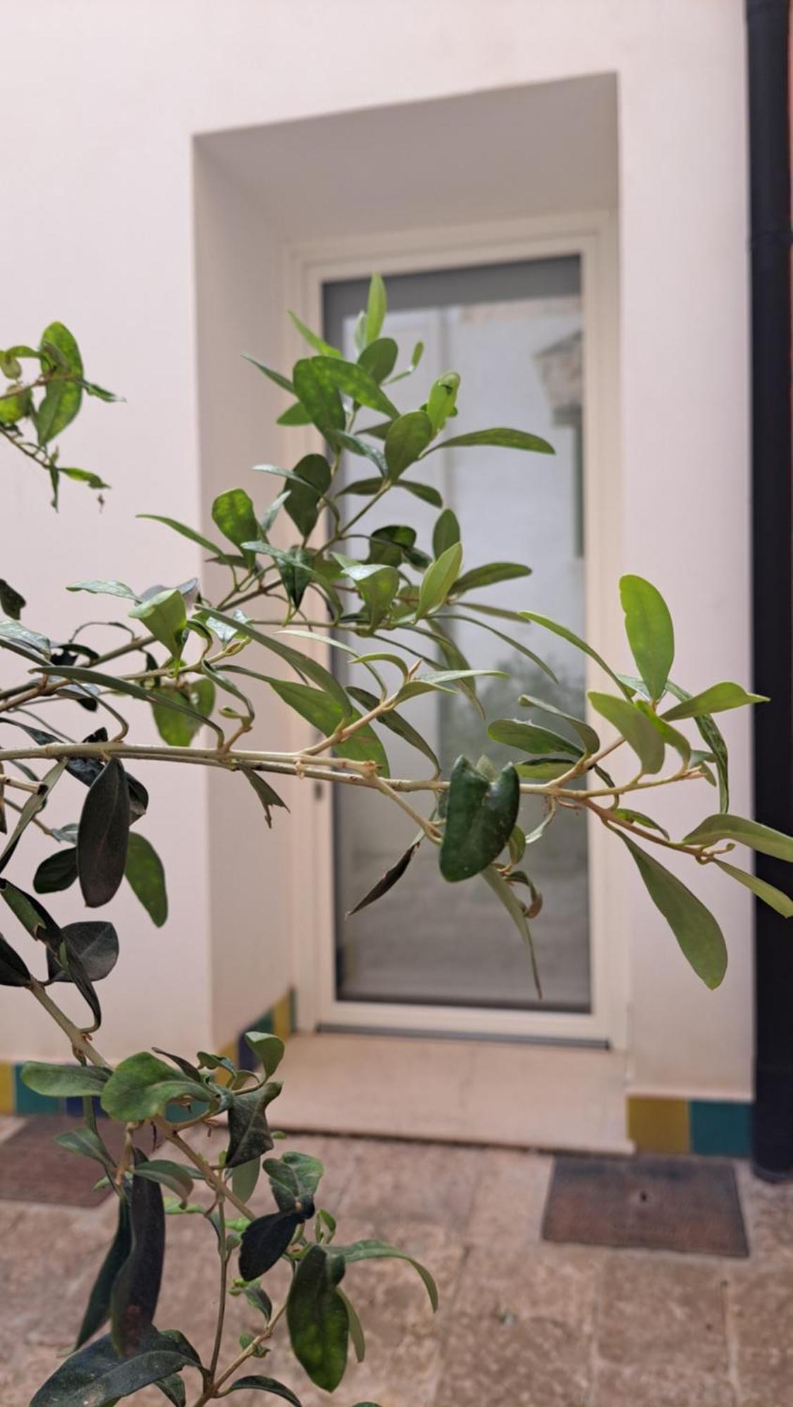 B&B Garibaldi Alcamo Bagian luar foto